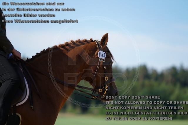 s_K3F05018.JPG